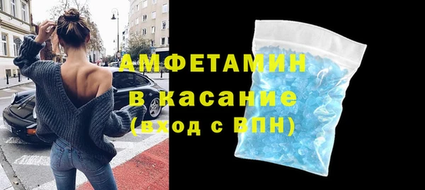 прущие грибы Абаза