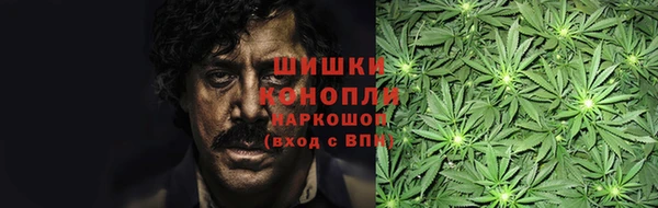 прущие грибы Абаза