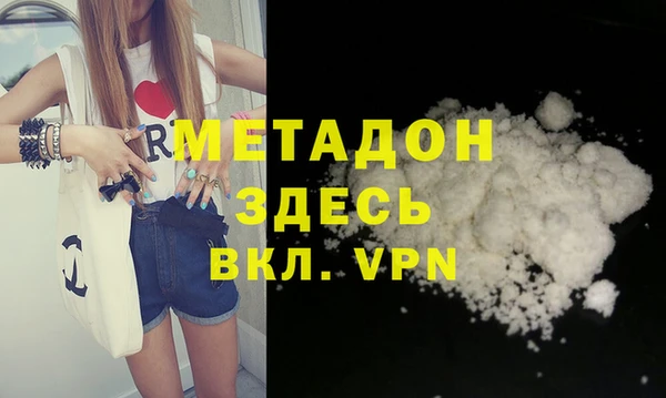 прущие грибы Абаза