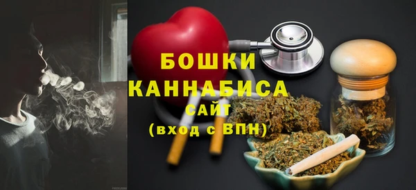 прущие грибы Абаза