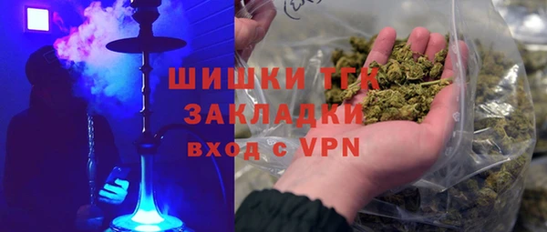 прущие грибы Абаза