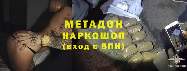 прущие грибы Абаза
