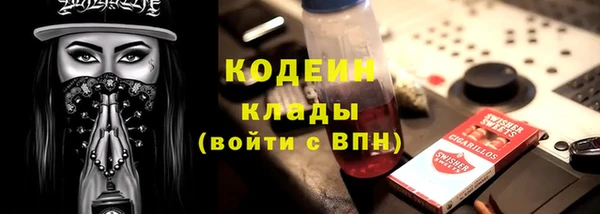 сатива Новозыбков