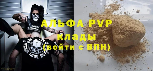 прущие грибы Абаза
