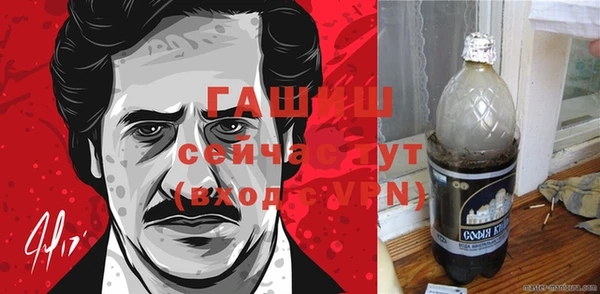 прущие грибы Абаза