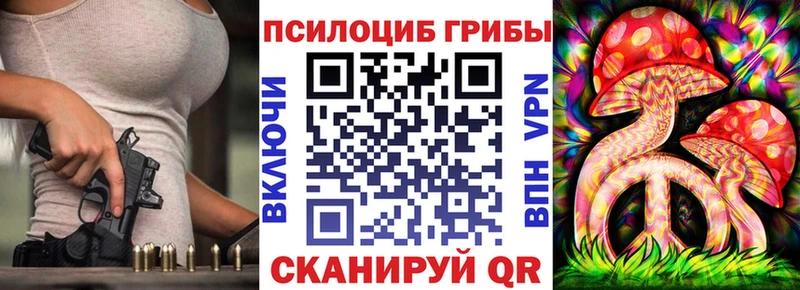 Псилоцибиновые грибы Cubensis  как найти закладки  Болхов 